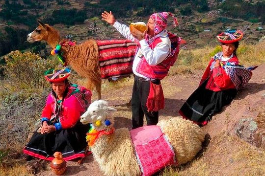 Half day Alpaca Therapy Tour — photograph 2