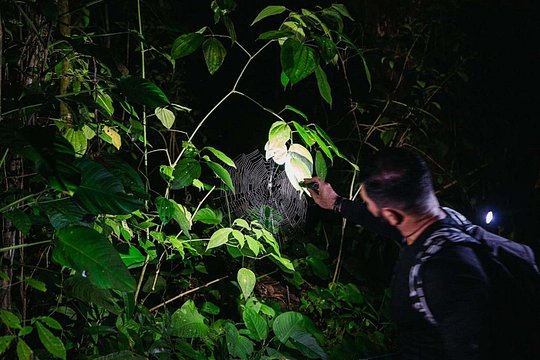 Private Guanacaste Night Tour — photograph 5