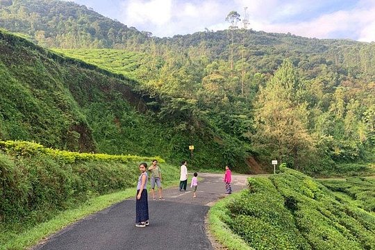 Private One Week Kerala Tour — photograph 2
