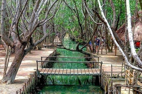 Merida: Progreso, Isla Columpios & El Corchito — Foto 2