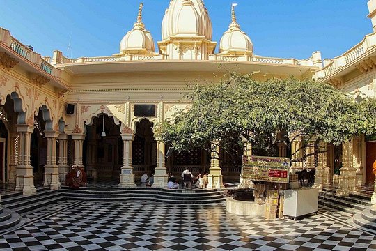 Private Same Day Mathura Vrindavan Tour By Car From Delhi — photograph 5