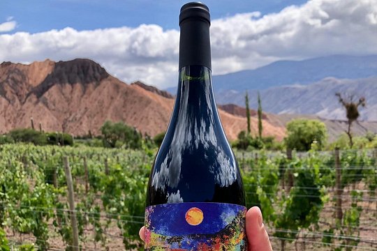 Jujuy Wine Route (Quebrada de Humahuaca) — Foto 3
