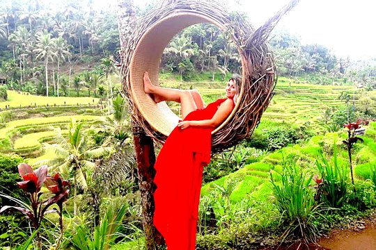 Perfect Day Trip to Ubud — photograph 3