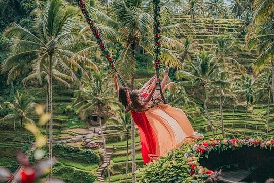 Perfect Day Trip to Ubud — photograph 4