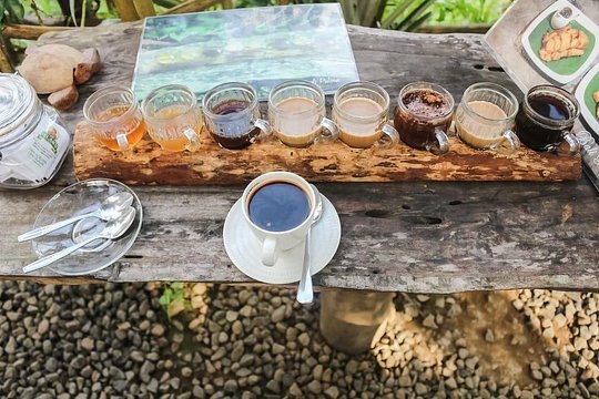 Perfect Day Trip to Ubud — photograph 5