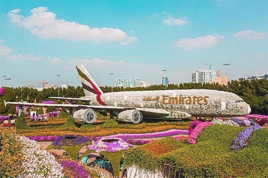 Dubai Miracle Garden Skip the Line E-Ticket — photograph 5