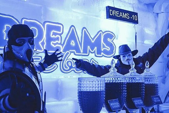 Dreams Ice Bar — bilde 5