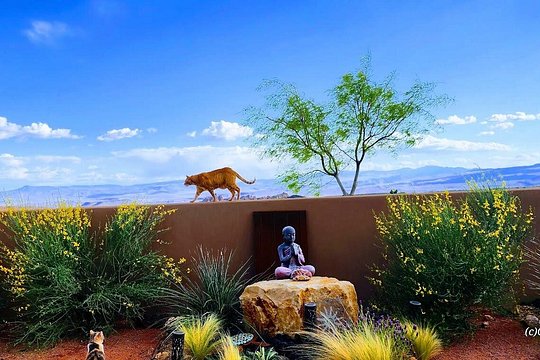 Zen Garden Yoga Bliss Experience — billede 4