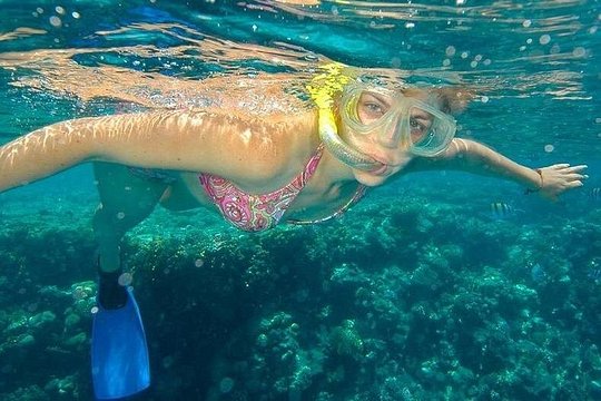 Los Cabos Beach Hopper 2-Stop Snorkeling Tour — photograph 5