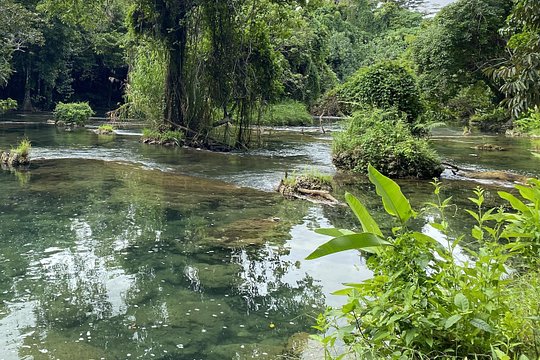 Rarru Cascades, Waterfall & Kava — photograph 4