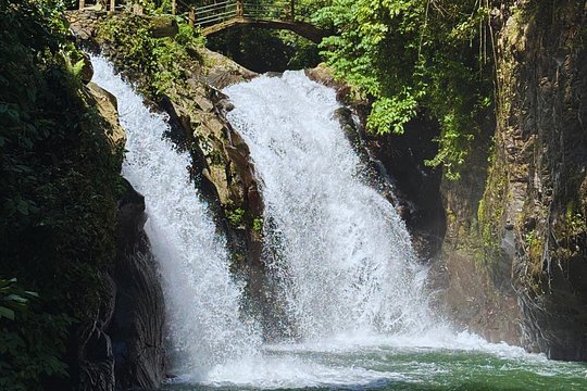 [ALL INCLUSIVE] Gitgit Waterfall Tour with Private Transportation — foto 3