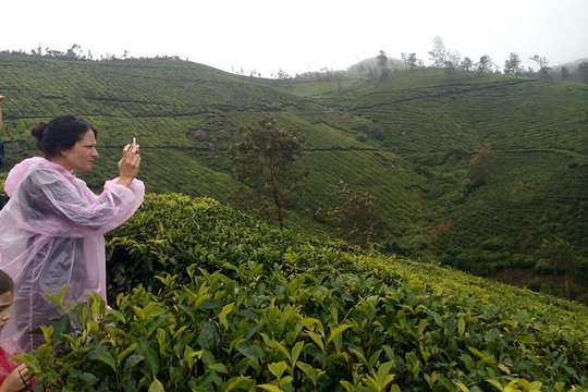 Half Day Trekking In Munnar — foto 3