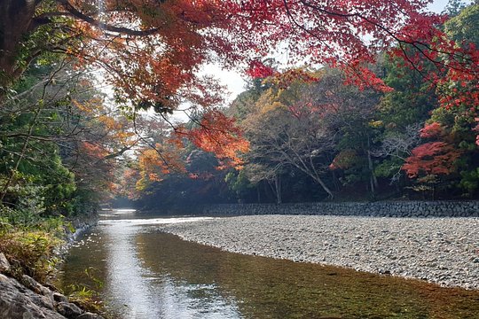 Ise Jingu Half Day Private Tour — billede 4