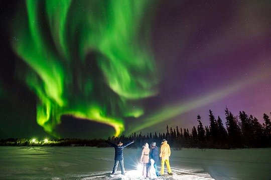Northern Lights Sledge Ride in Levi — photograph 4