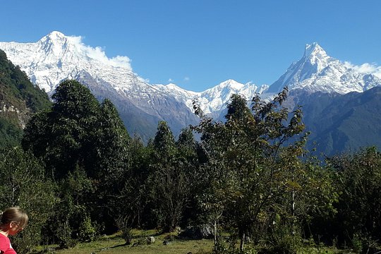 Khopra Ridge Trek — photograph 5