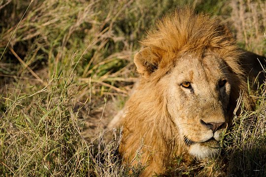 9 Days Private Camping Safari — photograph 5