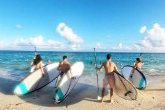 Guided Stand Up Paddleboard Tour from Elysian — photograph 2