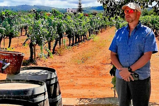 Private Ibiza Winetasting Tour — foto 2