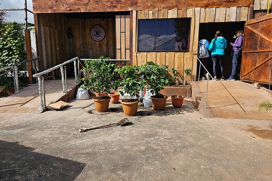 Costa Rica Coffee Tasting Experience — photograph 5