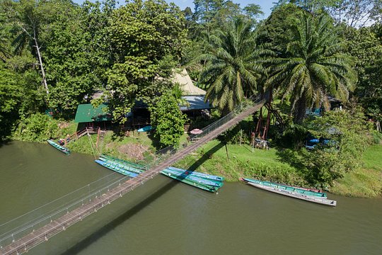 Explore Temburong with Canopy Tower — foto 3