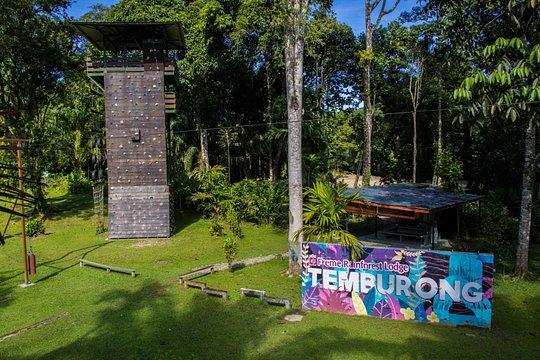 Explore Temburong with Canopy Tower — foto 4
