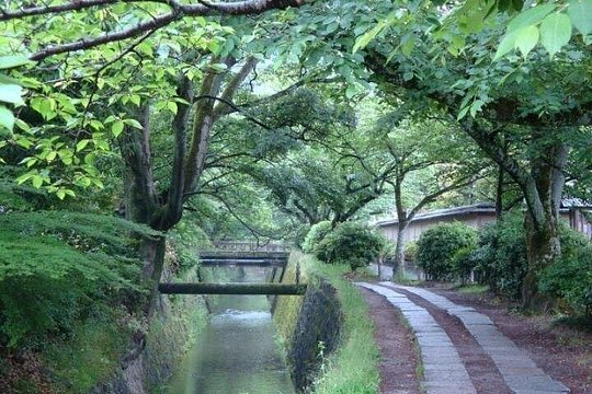 Peaceful Kyoto Walking Tour — photograph 3
