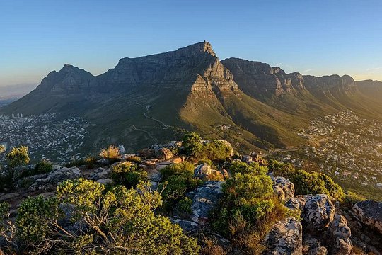 Table Mountain, Boulders Beach Penguins & Cape Point — photo 4