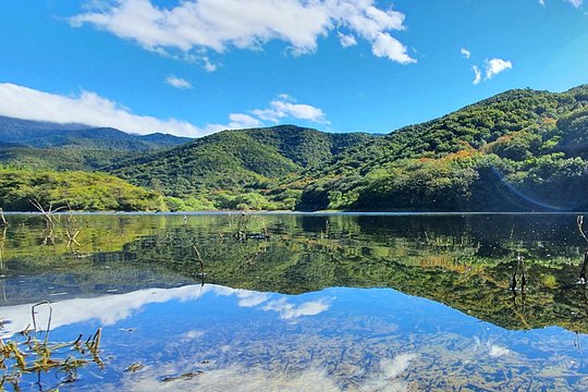 Half-Day MTB Ride to the Tule Tree & Lake — photograph 2