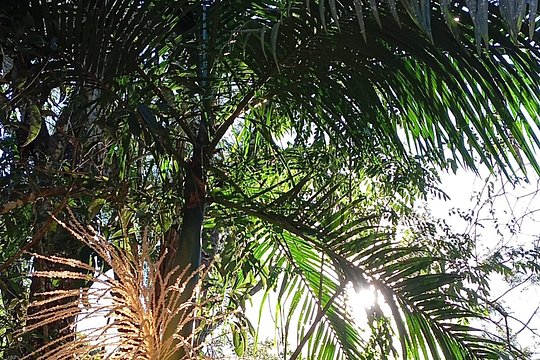 Luxury Iguazu, Private Tours — photograph 2