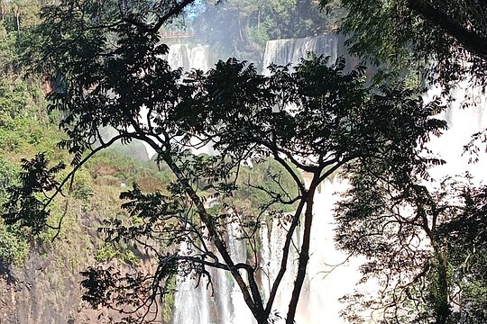 Luxury Iguazu, Private Tours — photograph 3