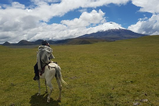 Cotopaxi Horseback Riding Tour — photograph 4