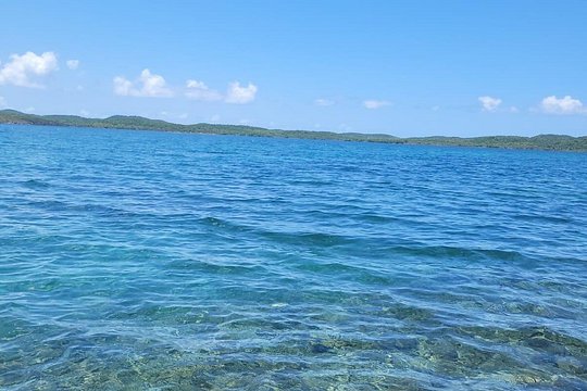Vieques Snorkeling — billede 2