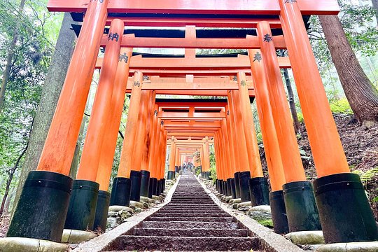 Kyoto Half Day Highlights Tour — photograph 5