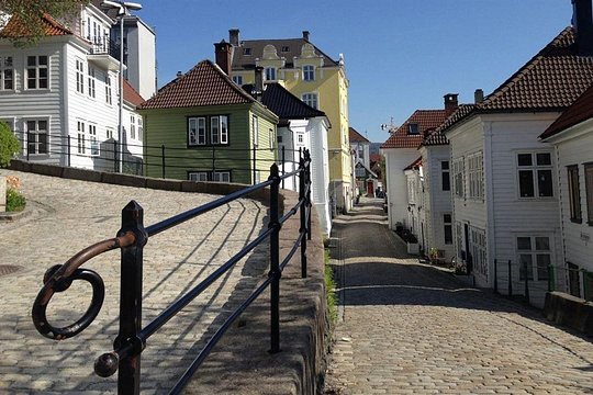 Bryggen Walking Tour with Guide — photograph 2