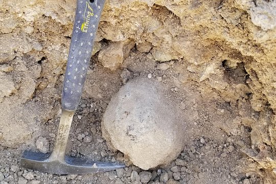 Guided Geode Collecting Adventure with a Geologist — photograph 3