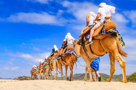 UTV Side by Side Experience and Camel Ride in Los Cabos — photograph 5