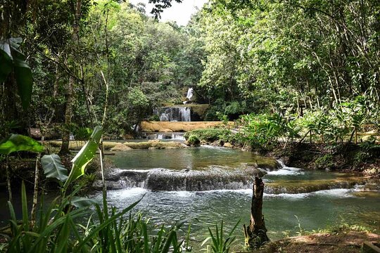 Appleton Rum Tour e YS Falls — fotografia 4