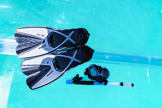 Roatan Clear Boat Tour — Foto 5