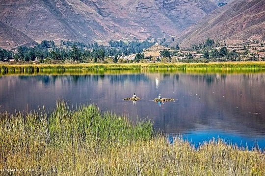 Huacarpay Bird Watching Tour from Cusco — photograph 2