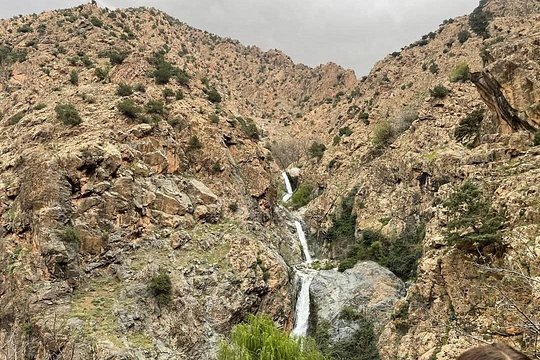 Day Trip to Ourika Valley — Foto 4