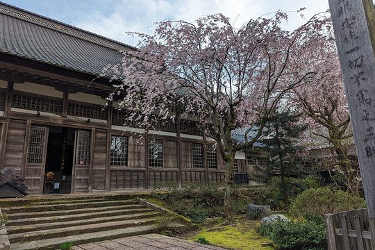 Private Zen Experience at Daijoji Temple with a Buddhist Monk — billede 2