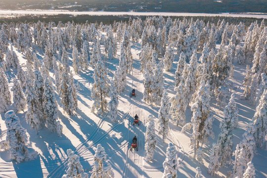 Snowmobile Safari into the Arctic Circle Forest — photograph 2