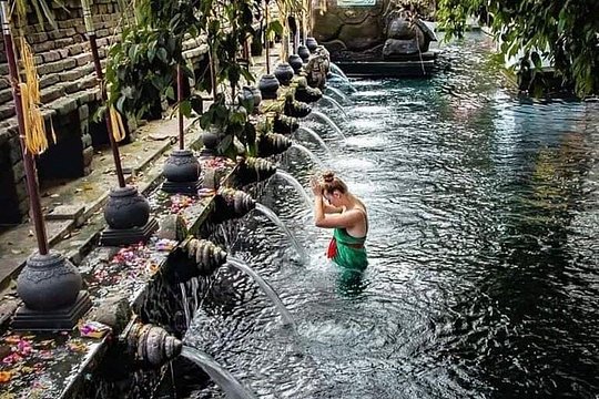 Highlights in Ubud Private Tour — foto 5