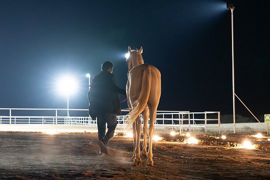 Shared Riyadh Horse Ride Adventure — photograph 5