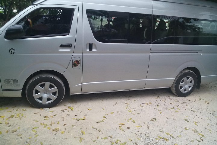 Private Van Ocho Rios Custom Sightseeing Tours