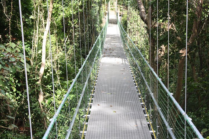 Roatan Shore Excursion: Hanging Bridges Eco Tour and Beach Break