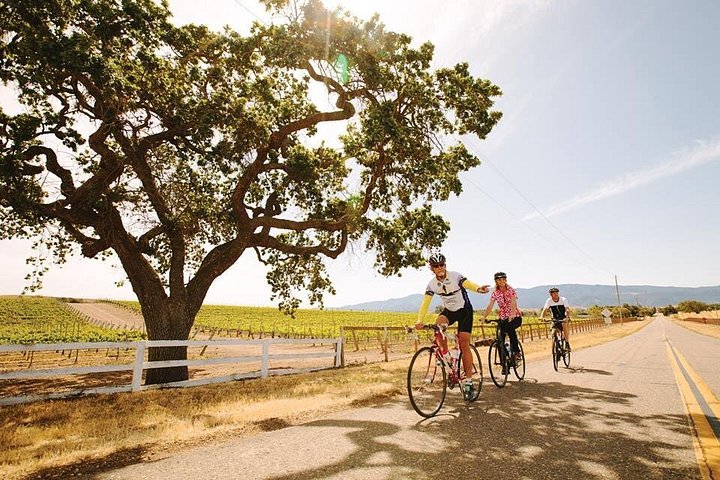 Wine Country Farm to Table Bike Tour w/Lunch