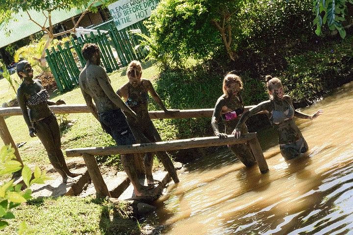 Nadi Therapeutic Mud Pools and Garden Tour - Shore Excursions EX PORT DENARAU