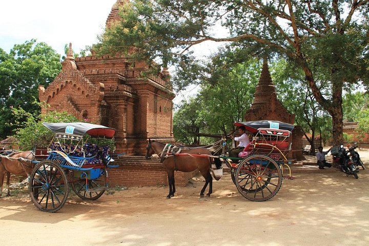Half Day Sightseeing With Royal Horse