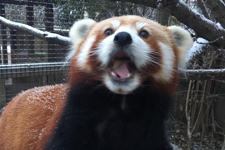Skip the Line: Miller Park Zoo General Admission Ticket